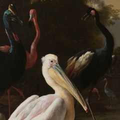 Johann Sebastian Bach – Sonata for Viola da Gamba and Harpsichord in D-Major, BWV 1028: II. Allegro