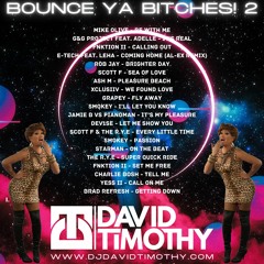 David Timothy - Bounce Ya Bitches! 2