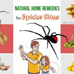 Best Spider Bite On Eye Treatment Reviews