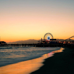 Disposição de canalha