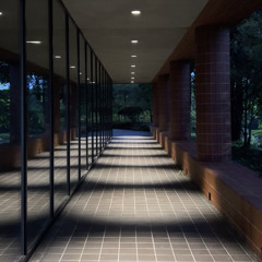 a sleepwalker's waltz