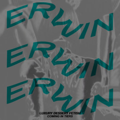 LDF SOUND (ERWIN REMIX)