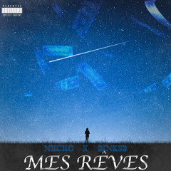 -mes reves X binksB