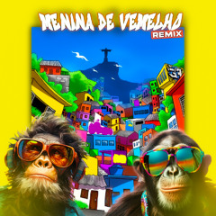 MC MENOR JP - MENINA DE VERMELHO (DJ R'AN & YOLAN PARIS REMIX) (Preview filtred)