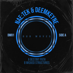 Nae_Tek, Deemkeyne - Destiny Path [Superordinate Dub Waves]