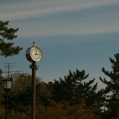 Pastimistic - David Zheng x Yarzawan Min