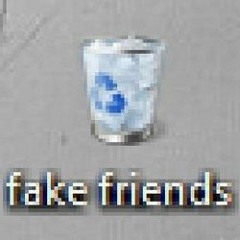 Nobody Need's Fake Friends - Mixed By Mike Jayy