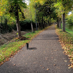 ROBBIE ELECKT - OCT25FAVSMIXTAPE