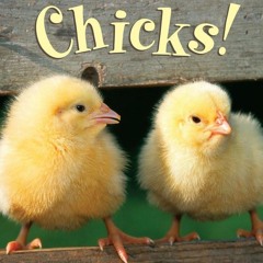 ❤ PDF Read Online ❤ Chicks! (Step into Reading) full