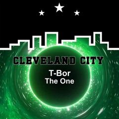 T - Bor - The One