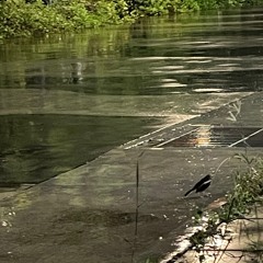 Be my Mistak Cover.m4a