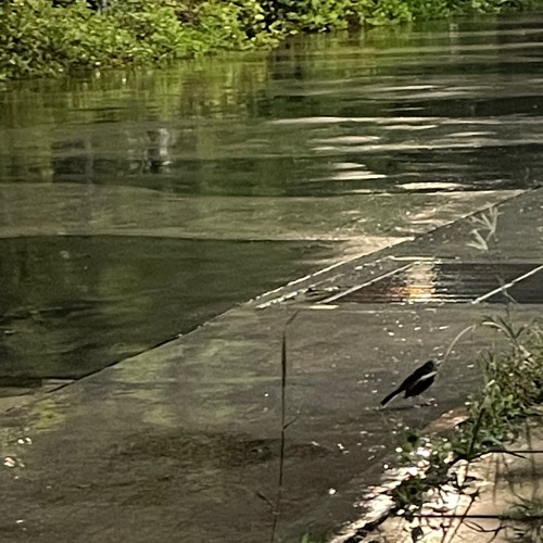 Be my Mistak Cover.m4a