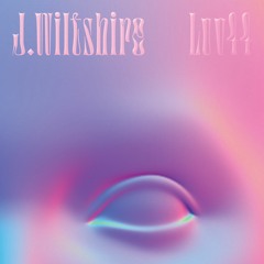 PREMIERE: J.Wiltshire - The Number Counters
