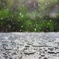Dancing In The Petrichor