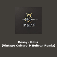 Bossy - Vintage Culture & Beltran Remix