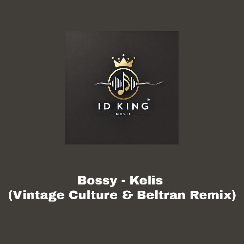 Bossy - Vintage Culture & Beltran Remix
