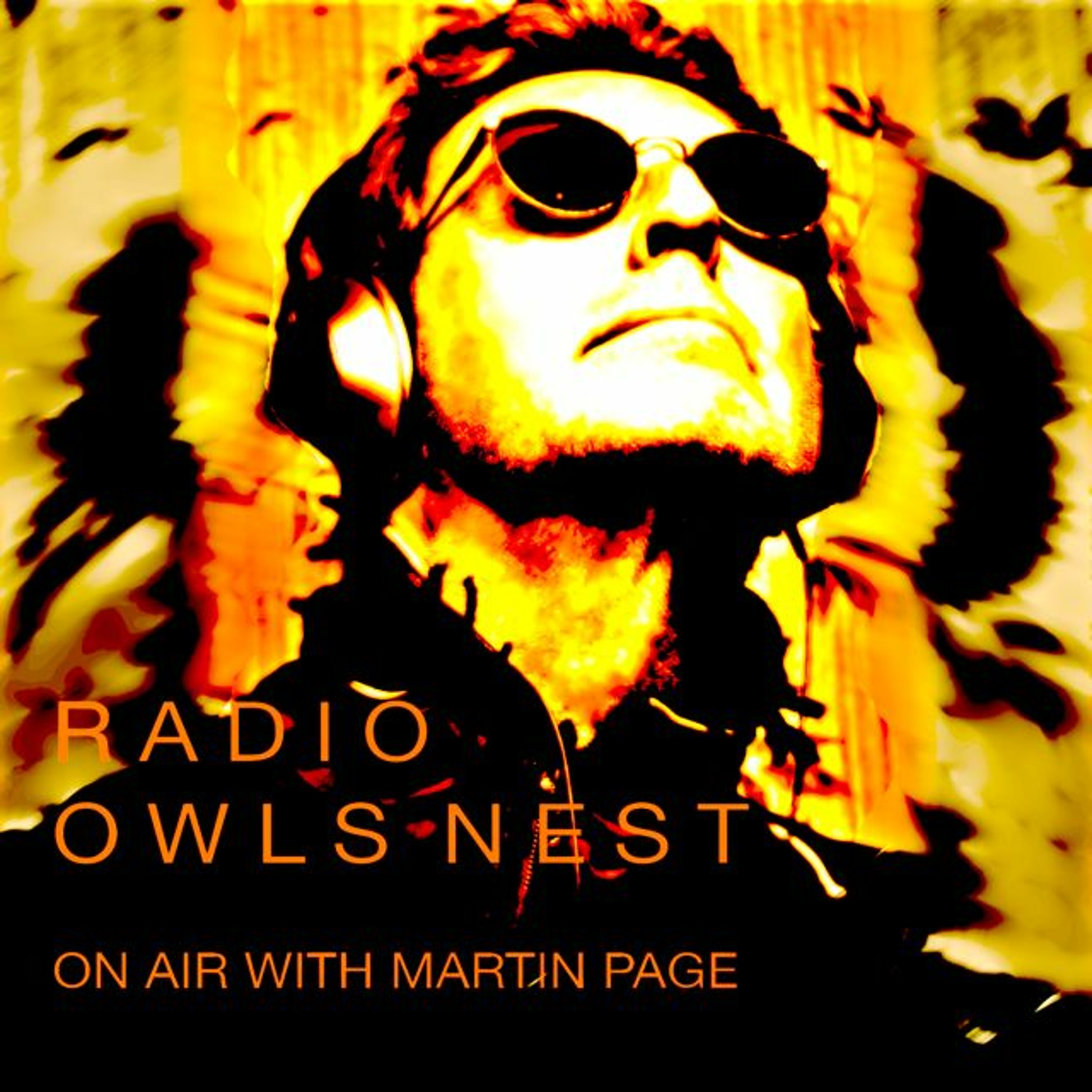 Radio OwlsNest