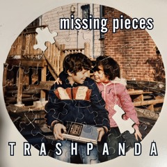 Trash Panda /  TP077 / Missing Pieces / 2023-11-17