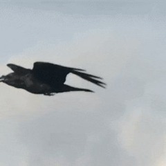 I Miss You - (Vocals by Gracy Grundy)