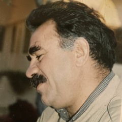 Li Îmrali ( Jiyan bê Serokê'm nabe )