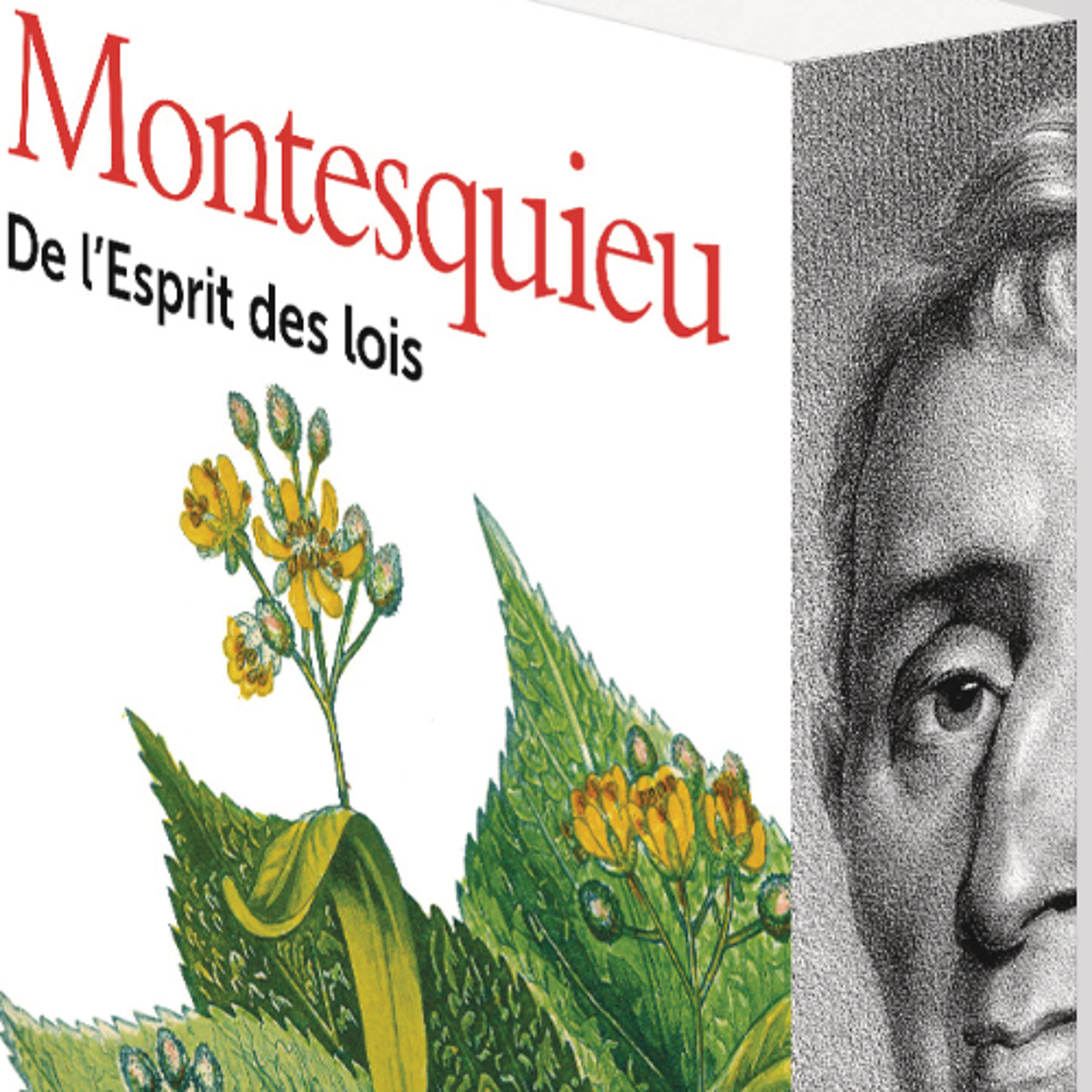 Chemins d’histoire