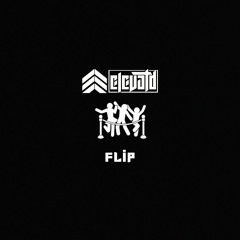 SECTION (ELEVATD FLIP)