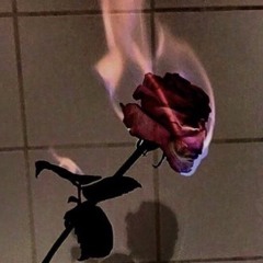 Loyal • Solid • Real