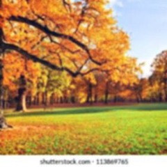 89gbs (luvxxpell) autumn clips 25 #eternal #rdp