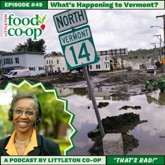 Episode XLIX: What's Happening to Vermont?