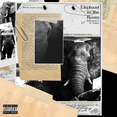 Elephant In The Room (feat. Valious)