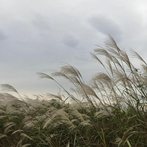 TEMPOREX - Nice Boys (slowed)