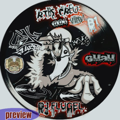 (preview) DJ FLUGEL RTBS CREW (GUAU B1)