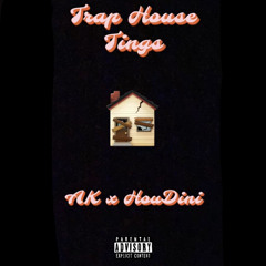 Trap House Tings ~ AK x HouDini