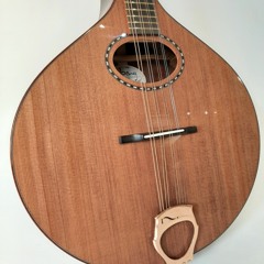 Redwood & Honduran rosewood Small-ish Octave Mandolin ; Nyberg