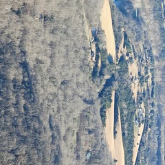 Bass Riff In C# minor