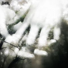 sleepinrelics - bound (lampp)
