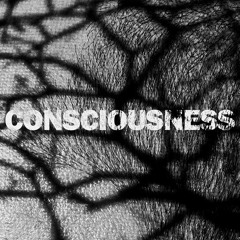 Consciousness