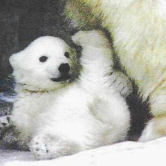 Hold Me Tight (Master Mp3) (c)2007 Steinar Hagen