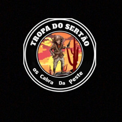 MC ANNY - CARRO BICHO DO EGITO - PROD BR DO CHAPA E PEDRIN CHP E 2K CHP