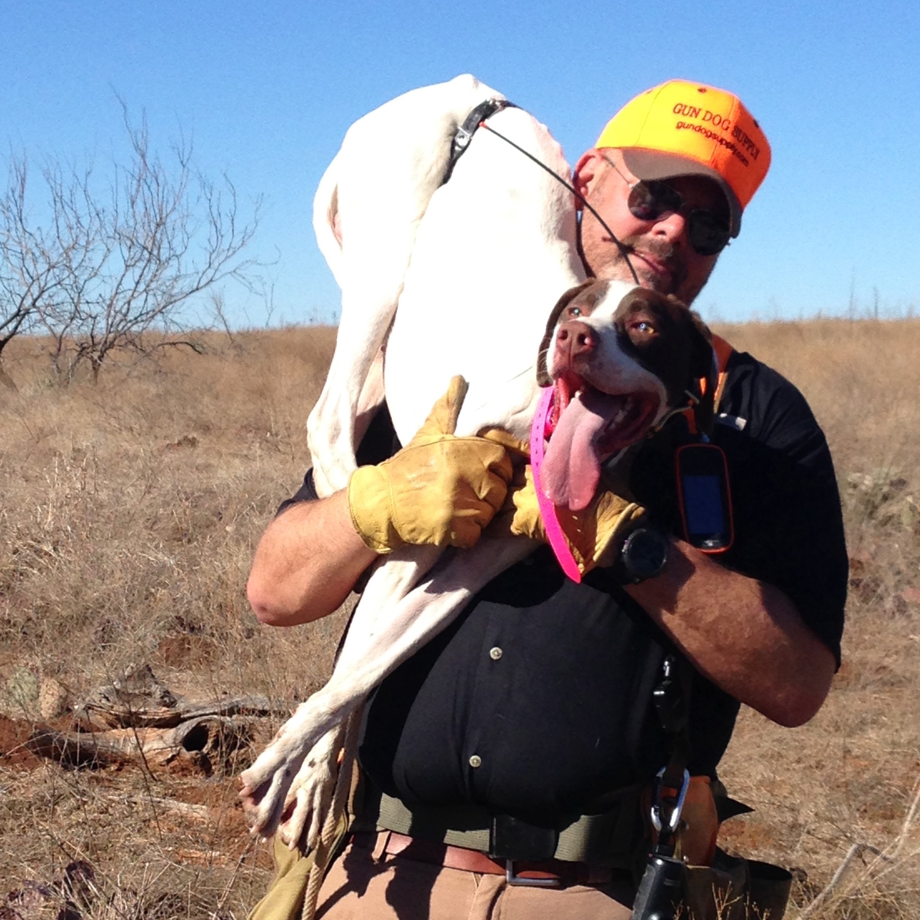 Dr. Dale on Quail