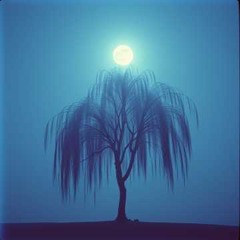 Willow Waltz (remix)