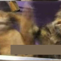 اذا متريدني كول_ رعد الناصري