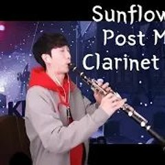 Post Malone & Swae Lee - Sunflower Clarinet Cover ㅣ스파이더맨 뉴 유니버스 OST 클라리넷 커버(신수호 클라리넷)
