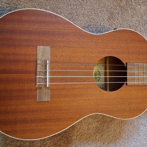 Ukelele Musings