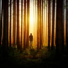 MESE X TR4PTYPE (prod. BBB)