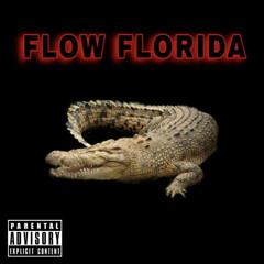flow florida