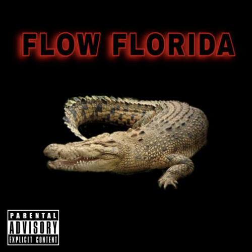 flow florida