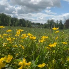 Above Arcades - The Collaborative Collection