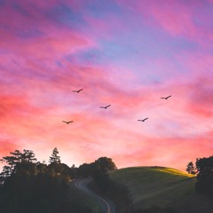 Traveller
