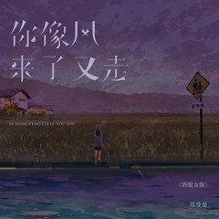 你像风来了又走 (洒脱女版伴奏)